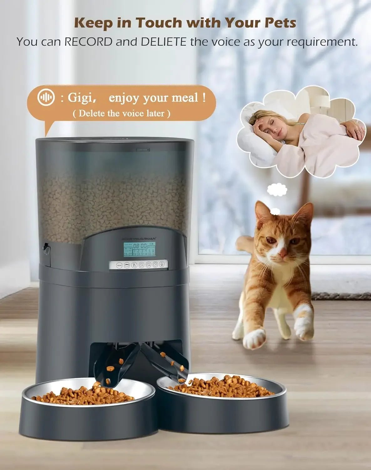 Automatic WiFi Pet Feeder for 2 Cats – 6.5L Smart Food Dispenser with App Control & Stainless Steel Bowls - Buy at G - ZONE