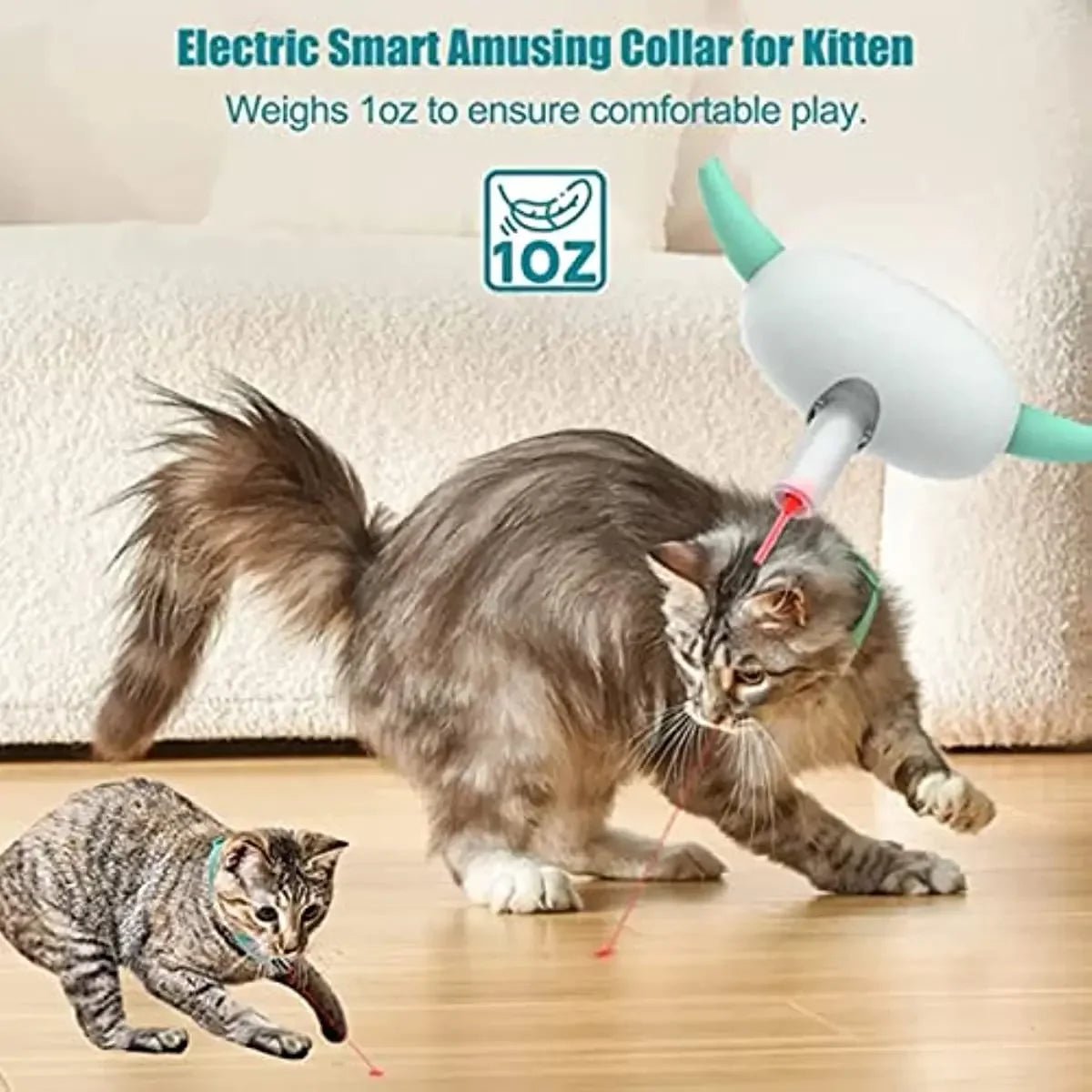 Electric Smart Amusing Cat Collar – Wearable Laser Toy & Electronic Training for Kittens - Buy at G - ZONE