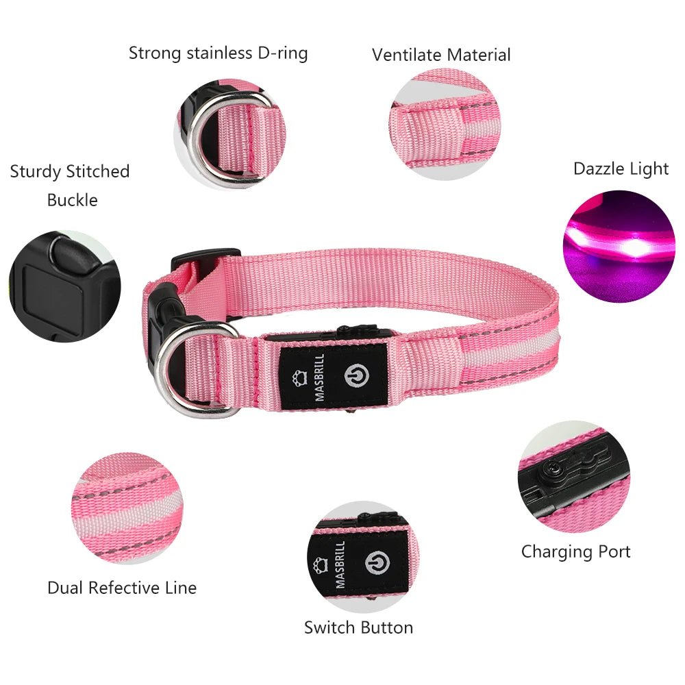 MASBRILL Light Up Dog Collar – Waterproof, USB Rechargeable, Adjustable LED Glow for Night Safety - Buy at G - ZONE