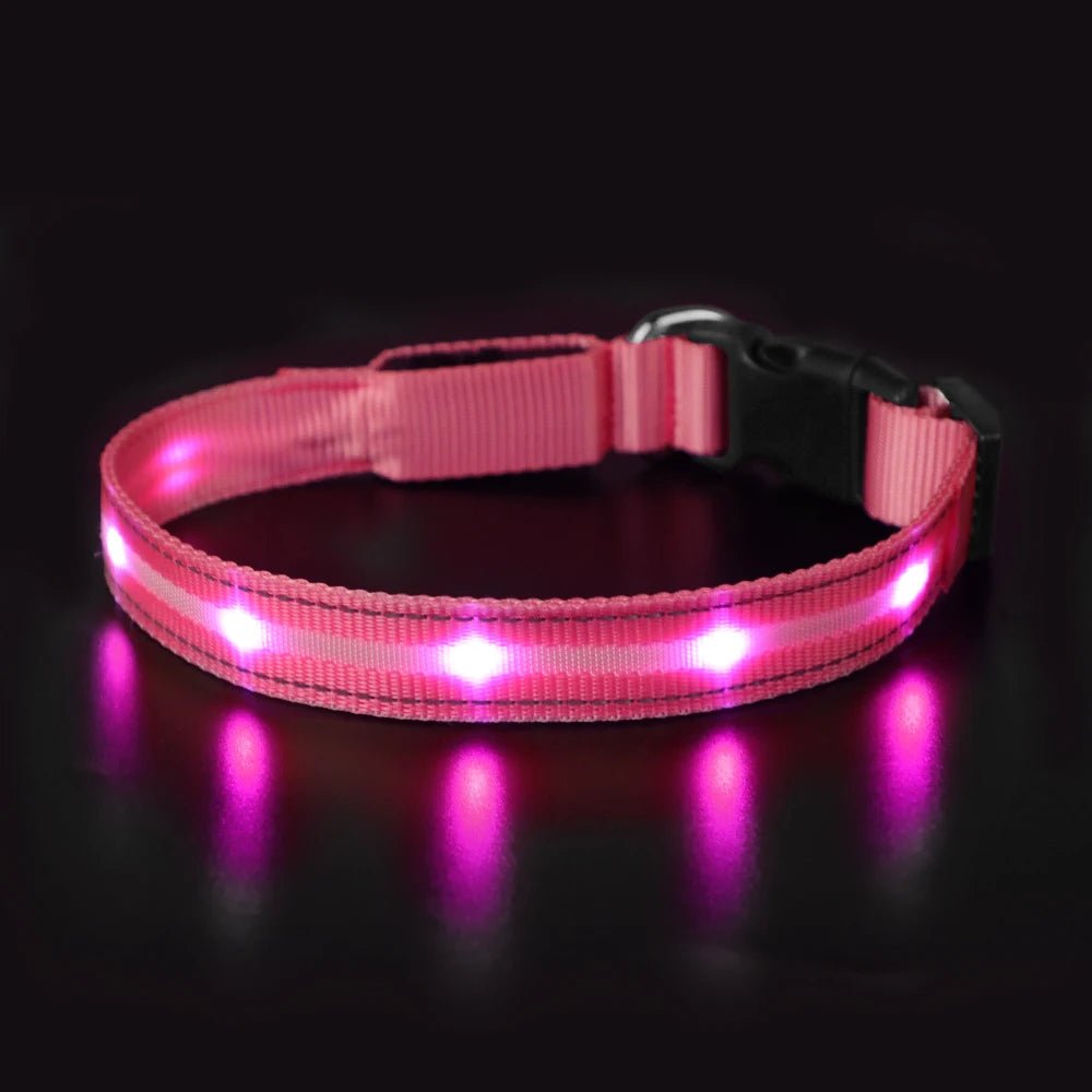 MASBRILL Light Up Dog Collar – Waterproof, USB Rechargeable, Adjustable LED Glow for Night Safety - Buy at G - ZONE