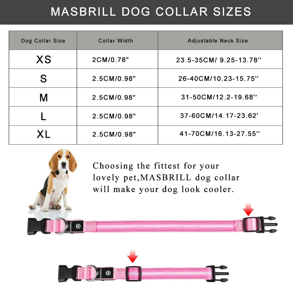 MASBRILL Light Up Dog Collar – Waterproof, USB Rechargeable, Adjustable LED Glow for Night Safety - Buy at G - ZONE