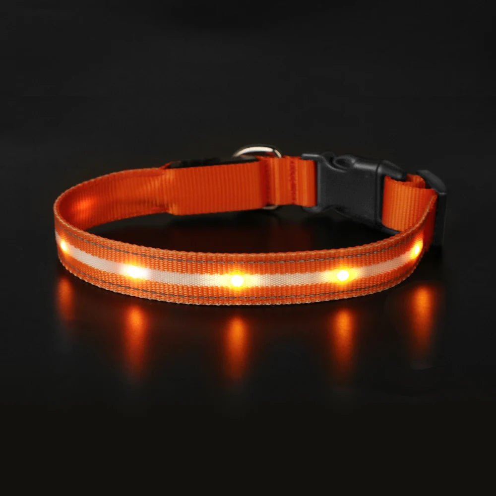 MASBRILL Light Up Dog Collar – Waterproof, USB Rechargeable, Adjustable LED Glow for Night Safety - Buy at G - ZONE