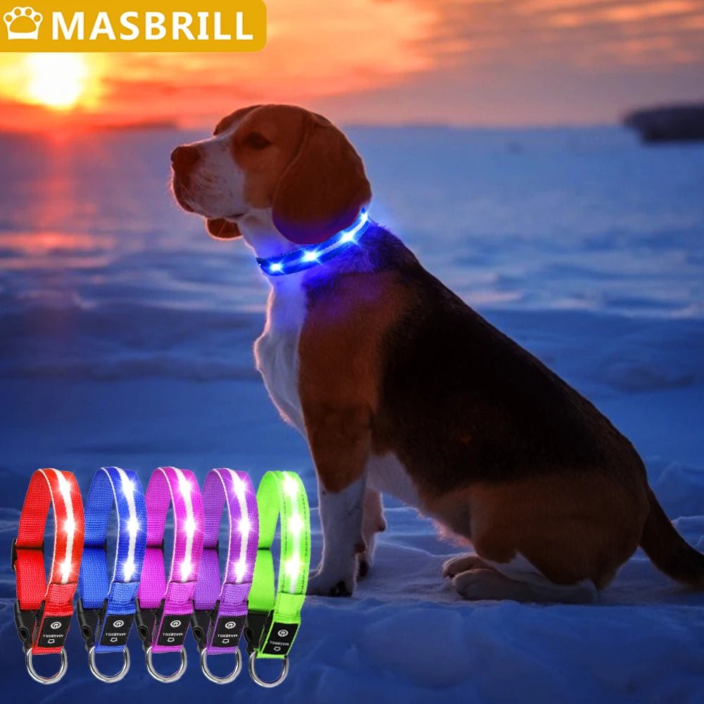 MASBRILL Light Up Dog Collar – Waterproof, USB Rechargeable, Adjustable LED Glow for Night Safety - Buy at G - ZONE