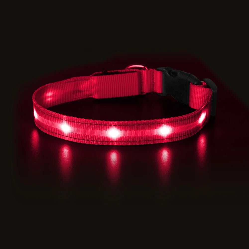 MASBRILL Light Up Dog Collar – Waterproof, USB Rechargeable, Adjustable LED Glow for Night Safety - Buy at G - ZONE