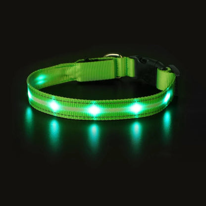 MASBRILL Light Up Dog Collar – Waterproof, USB Rechargeable, Adjustable LED Glow for Night Safety - Buy at G - ZONE