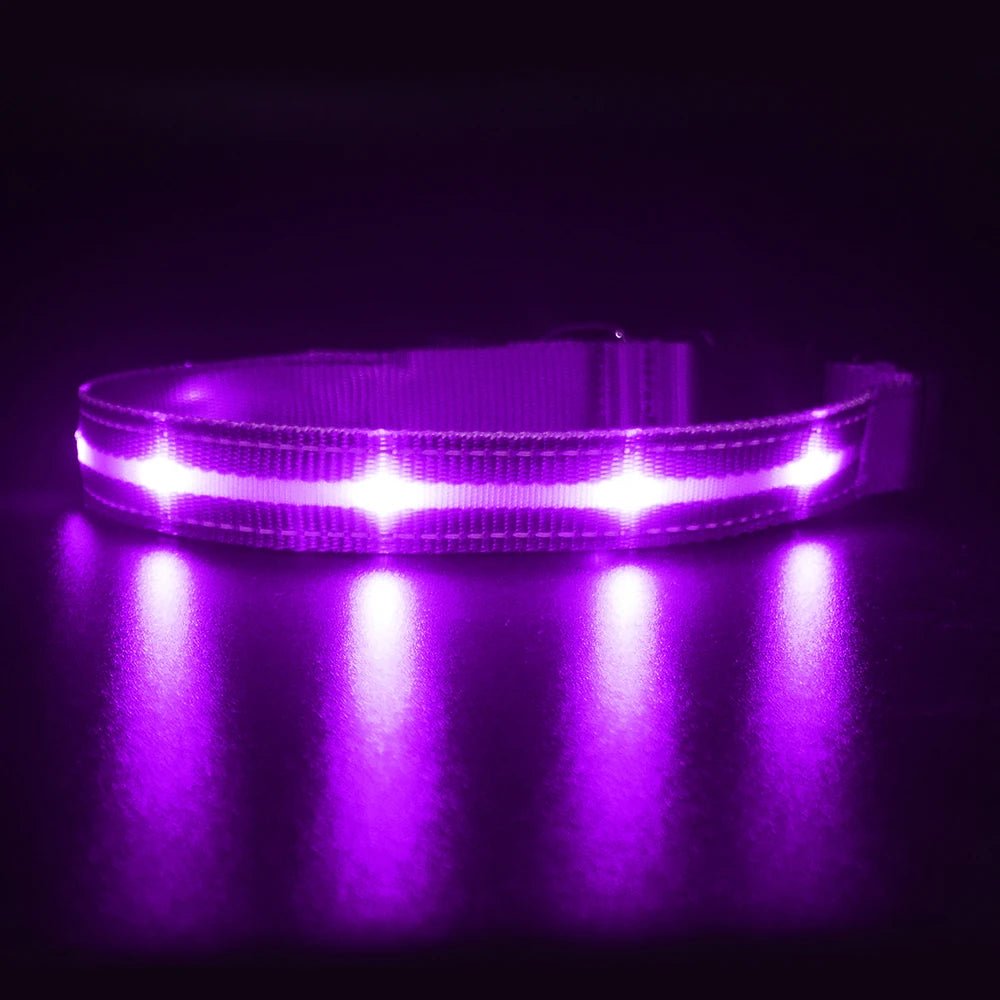 MASBRILL Light Up Dog Collar – Waterproof, USB Rechargeable, Adjustable LED Glow for Night Safety - Buy at G - ZONE