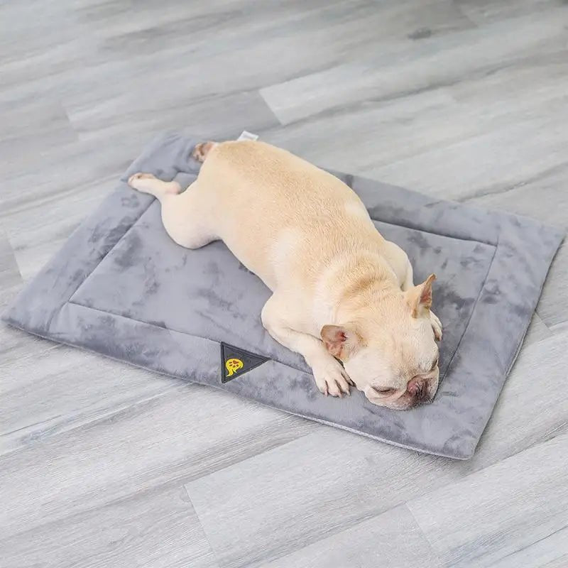 Self - Heating Pet Bed – Comfortable Flannel Dog Mat for Elderly Pets & Cats, Waterproof Winter Thermal Warming Pad - Buy at G - ZONE