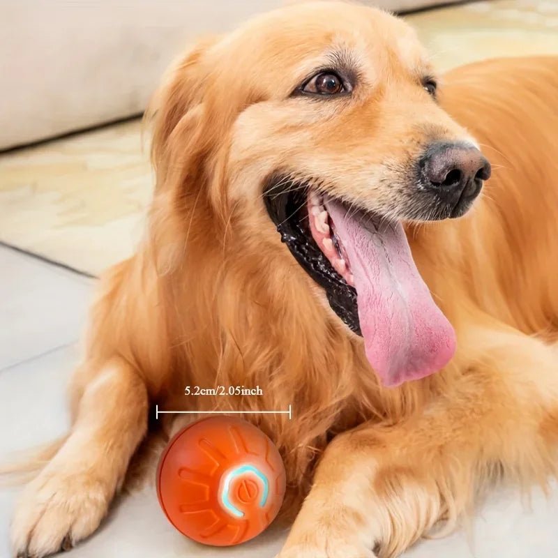 Smart Interactive Dog Toy Ball – USB Rechargeable Automatic Moving Ball for Puppies - Buy at G - ZONE